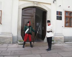 IMG 4049