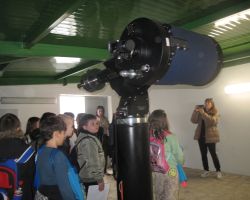 IMG 4182