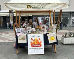 IMG d49f34dd1ee98991afdea91298676d42 V